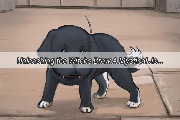 Unleashing the Witchs Brew A Mystical Journey into the World of Dog Creation Spells